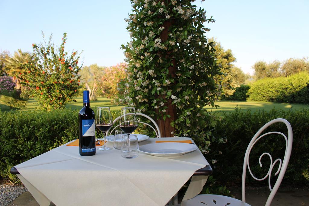Agriturismo Eucaliptus Bolgheri Ngoại thất bức ảnh