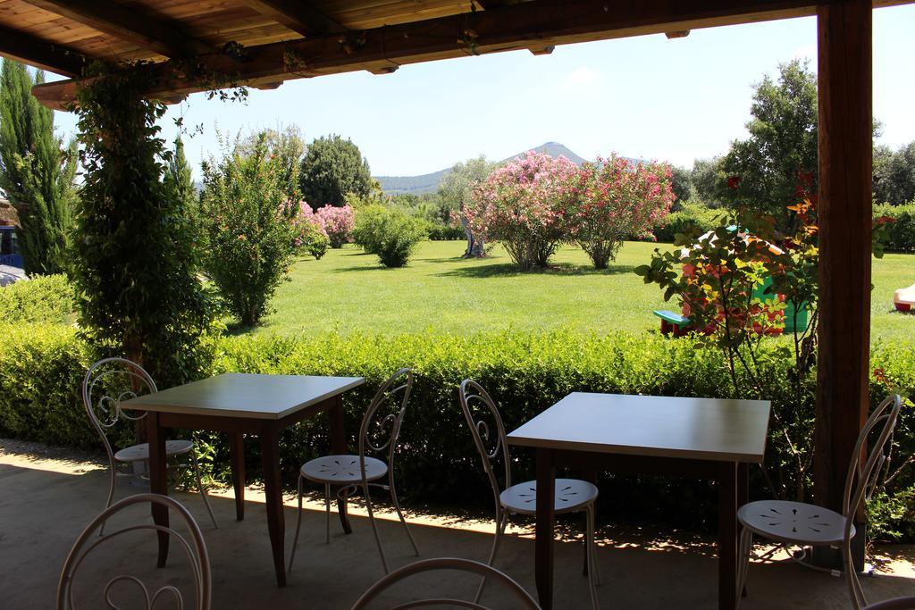 Agriturismo Eucaliptus Bolgheri Ngoại thất bức ảnh
