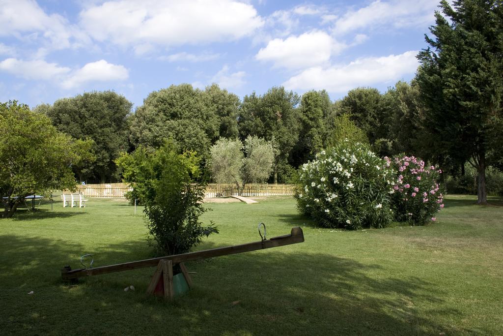 Agriturismo Eucaliptus Bolgheri Ngoại thất bức ảnh