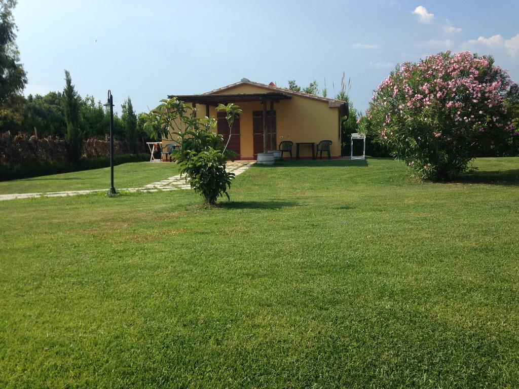 Agriturismo Eucaliptus Bolgheri Ngoại thất bức ảnh