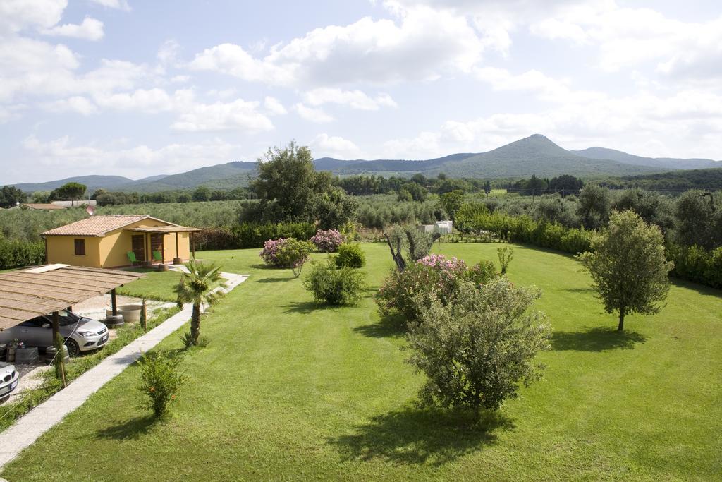 Agriturismo Eucaliptus Bolgheri Ngoại thất bức ảnh