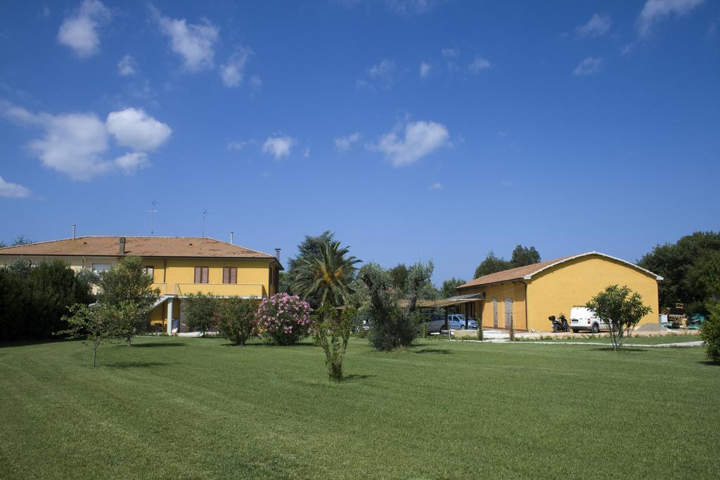 Agriturismo Eucaliptus Bolgheri Ngoại thất bức ảnh