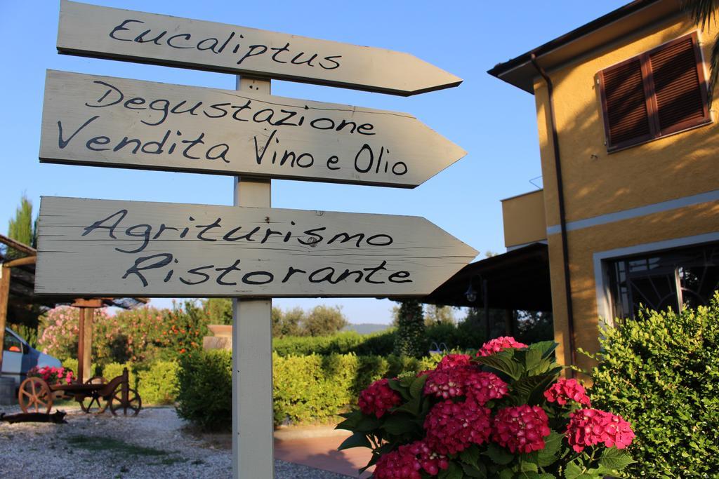 Agriturismo Eucaliptus Bolgheri Ngoại thất bức ảnh
