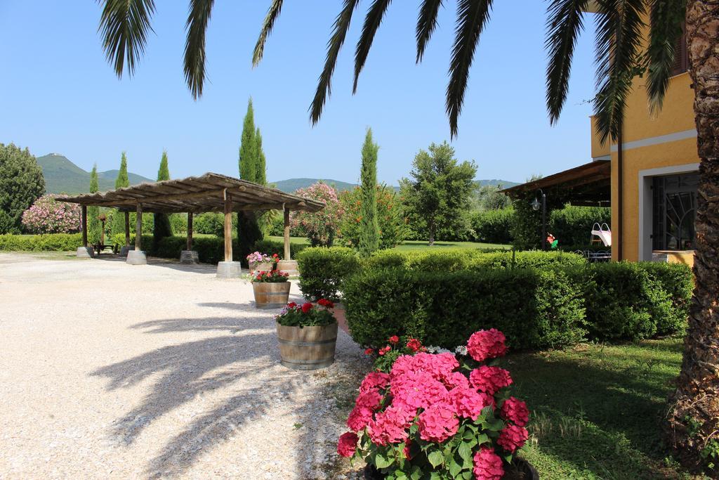 Agriturismo Eucaliptus Bolgheri Ngoại thất bức ảnh